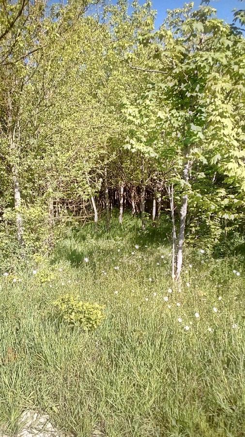 Domaine De Gentilly Saint-Maurice-les-Charencey ภายนอก รูปภาพ